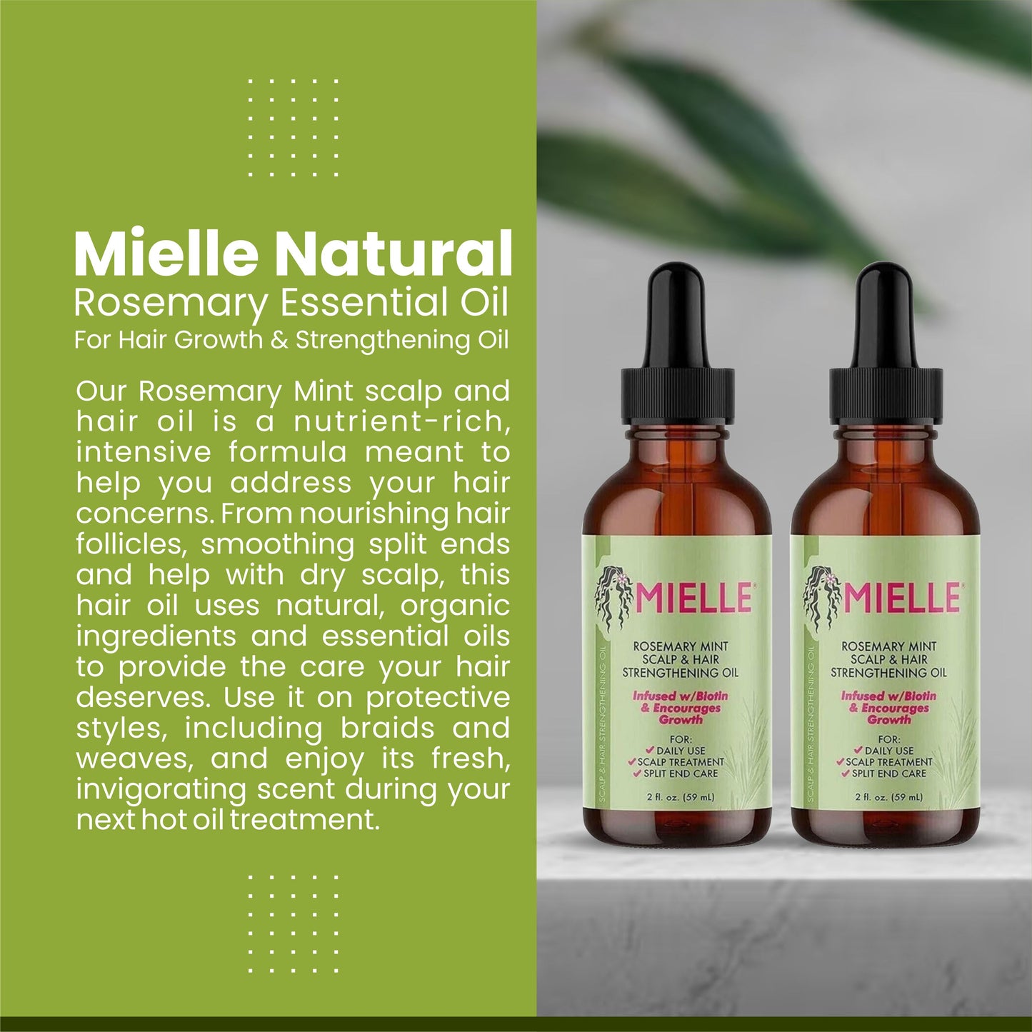 Mielle Natural Rosemary Hair Oil – Promotes Hair Growth & Reduces Hair Fall | 2 Pack 59ml