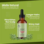 Mielle Natural Rosemary Essential Oil For Hair Growth & Strengthening Oil 59 ML With Hair Brush