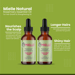 Mielle Natural Rosemary Essential Oil For Hair Growth & Strengthening Oil 59 ML With Hair Brush (Pack of 2)