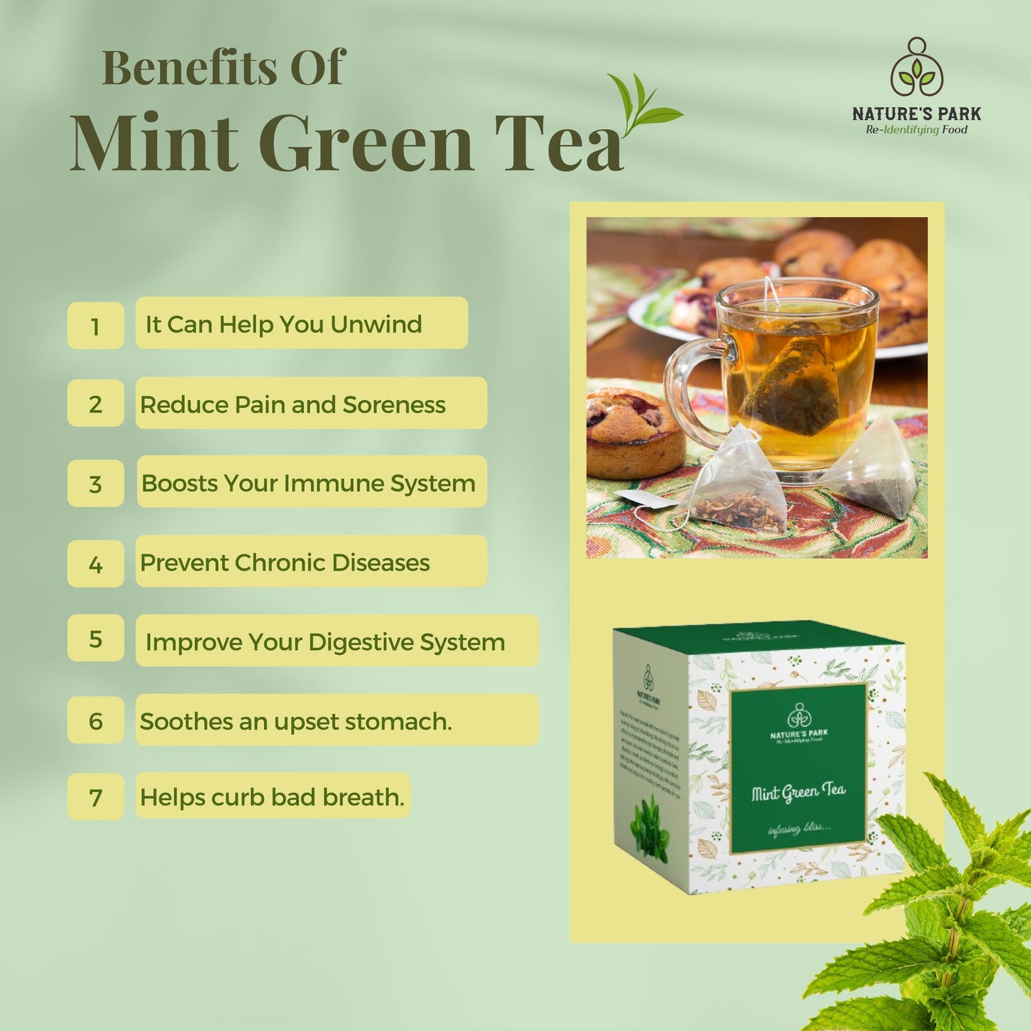 Nature's Park Mint Green Tea Pyramid Tea Bags (20 Pcs)