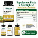 Vitalmins Moringa Leaf Extract 500MG Capsules | Nutrient-Rich Superfood Supplement for Energy, Immunity & Daily Vitality – 60 Veg Capsules