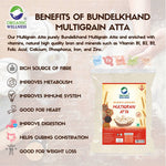 Organic Wellness Whole Wheat Multigrain Atta 5 KG Pack | High Protein | High Fiber | Low Gluten, & Diabetic Friendly