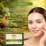 Kayee Ayurveda Neem Soap for Men & Women | Herbal Neem Bathing Soap for Deep Cleansing & Daily Body Care | Helps Remove Dirt, Sweat & Excess Oil | Fresh, Clean & Refreshed Looking Skin
