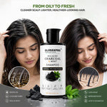 GLOSSXPRO Professional System Nilgiri Charcoal & Mint Shampoo