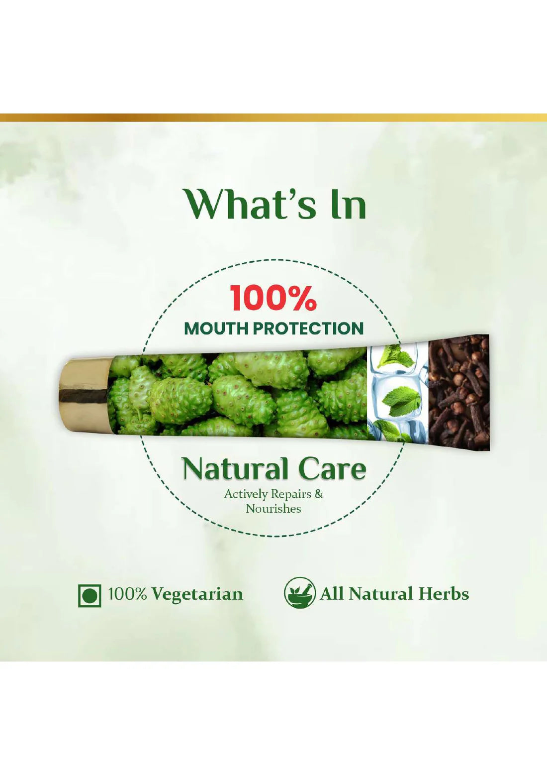 The Dave's Noni 24 Hour Oral Care Toothpaste (100gm Each) (Pack of 3)