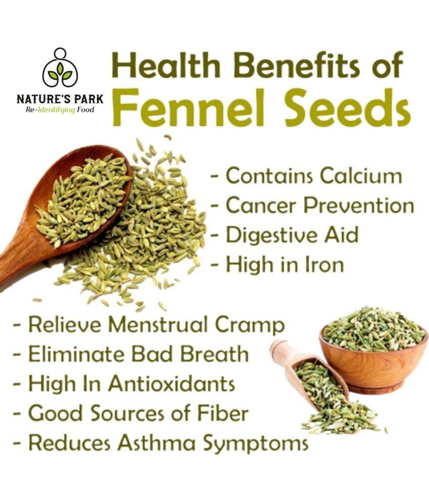 Nature's Park Roasted Fennel Seeds (Saunf) (Pet Jar) - 90gm