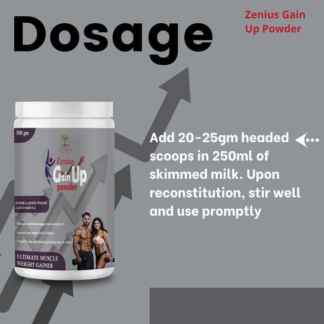 Zenius Gain Up Power - Mass Gainer Protein Powder and Supplements for Weight Gain - 500gm Powder