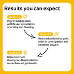 Panchamrit Gut Health Effervescent Tablets | Colon Cleanse & Improves Digestion (20 Each) Zesty Lemon