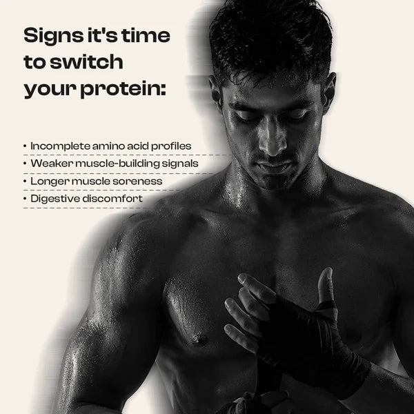Be Wellness Yeast Protein