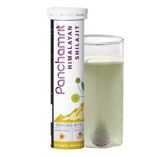 Panchamrit Himalayan Shilajit Effervescent Tablet with Ayurvedic Herbs|Boosts Stamina (15 Each)