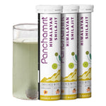 Panchamrit Himalayan Shilajit Effervescent Tablet with Ayurvedic Herbs|Boosts Stamina (15 Each)