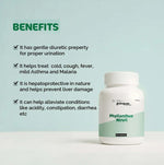 Dr. Satnam's Arogyam Ayurveda Phyllanthus Niruri 500mg Capsule (60 Each)