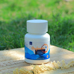 LivHerbal Performer Plus Premature Ejaculation Capsules
