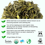 Radhikas Fine Teas Pisces White Leaf - A Thoughtful Zodiac Tea Gift for Healers - 50gm