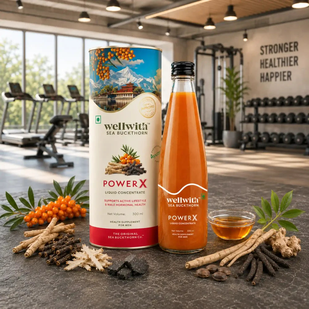 WellWith Power X Sea Buckthorn Juice For Men With Ashwagandha 300ml