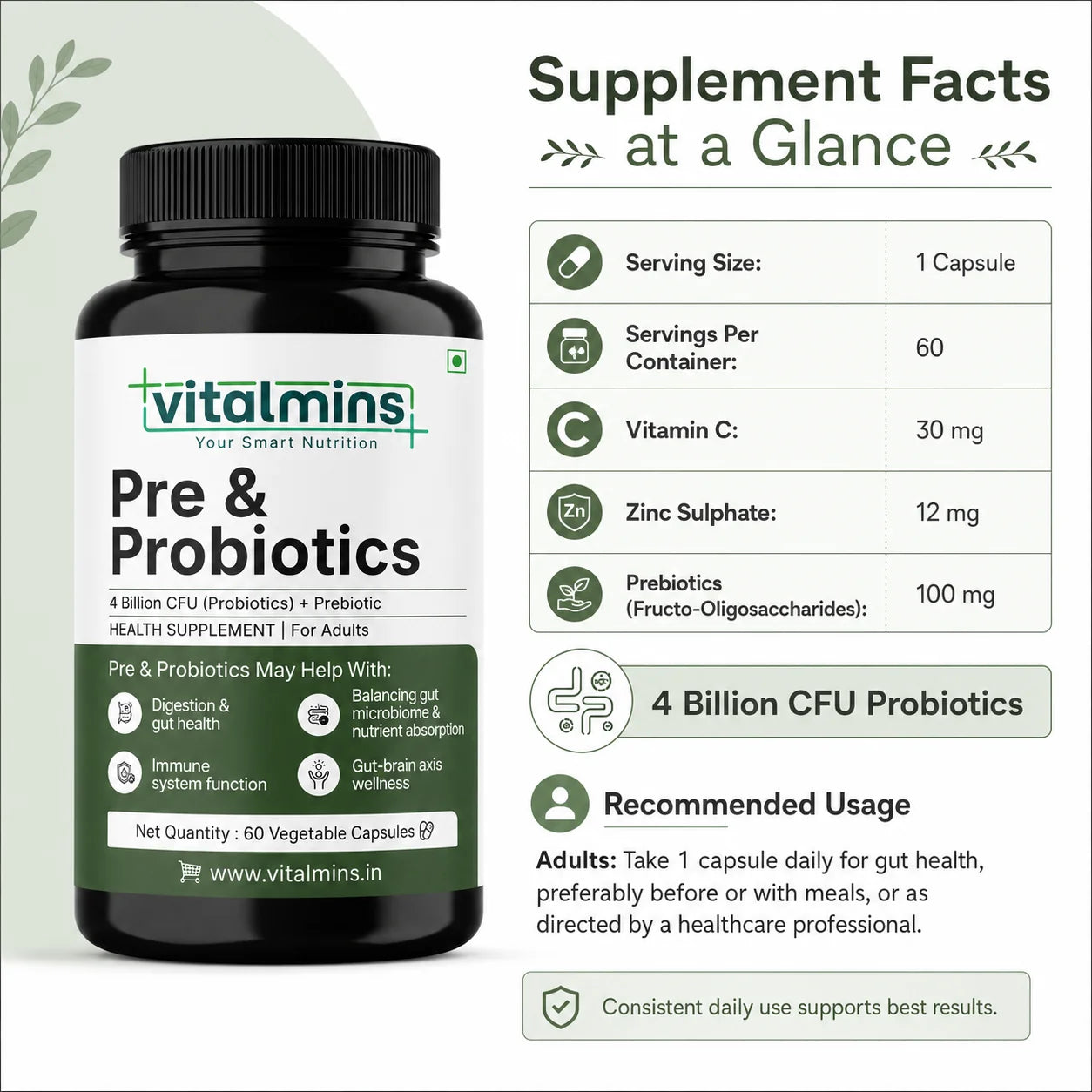 Vitalmins Probiotics Capsules | Multi-Strain Formula with Prebiotics for Superior Gut Health, Bloating Relief & Immune Support – 60 Veg Capsules
