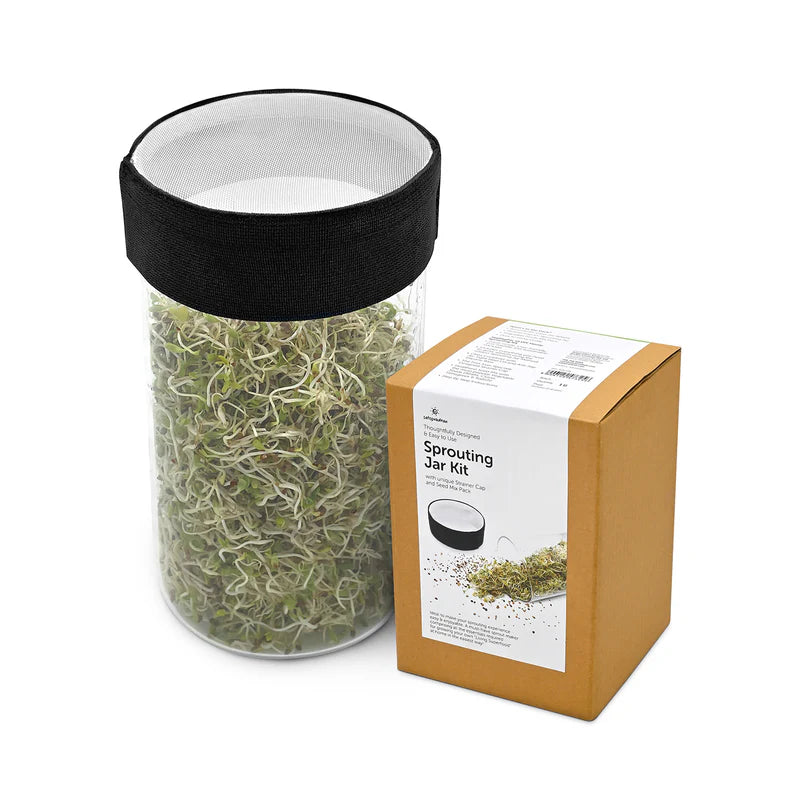 Satopradhan Sprouting Jar Kit -Unique Strainer Cap and Seed Mix Pack - Thoughtfully Designed & Easy to Use DIY Growing Kit