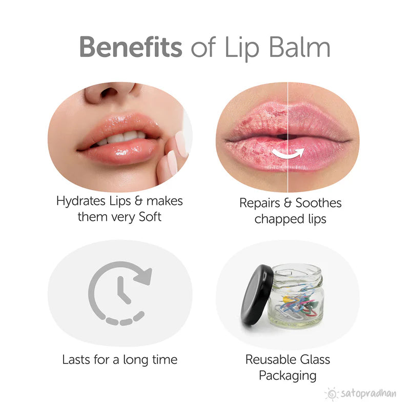 Satopradhan Lip Balm Shea & Mango Butter 15g - Vegan with all Natural Ingredients | Lip Balm Moisturizer for Dry Lips | Suitable for Men & Women
