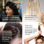 Satopradhan Herbal Hair Oil 200ml - Bakuchi, Kalonji & Organic Rosemary Oil For Hair Growth & Thickness | Hairfall Control Oil | Non-Sticky Oil For Premature Grey Hair - Plant-Based & Eco-friendly hair oil for Dry, Wavy & Curly Hair