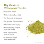 Satopradhan Wheatgrass Juice Powder 100g - Made from Organic Wheatgrass Shoots grown using Sharbati Wheatberries | Gluten-free