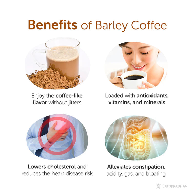 Satopradhan Organic Barley Coffee 100g - 100% Caffeine