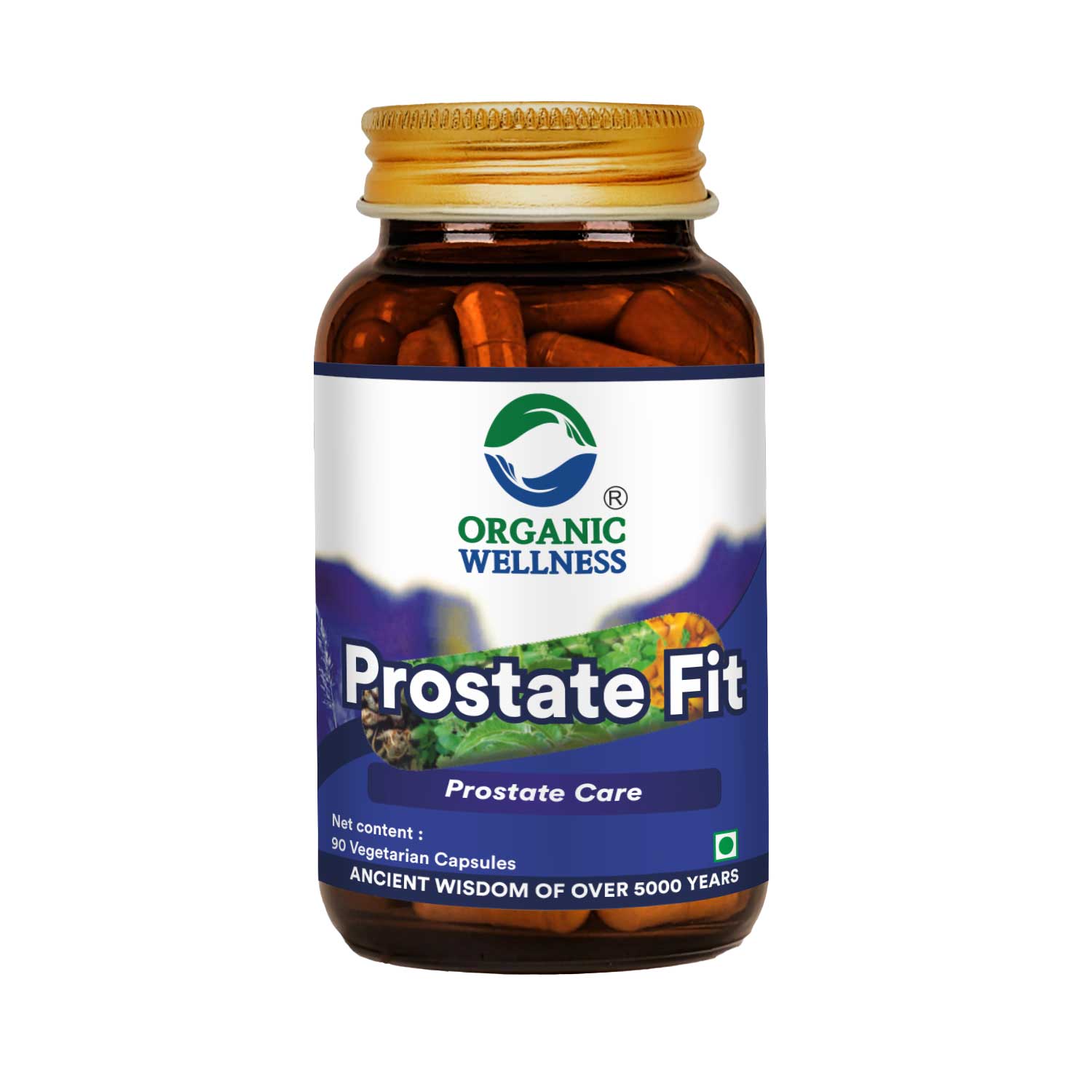 Organic Wellness Prostate-Fit Capsules - 90 Capsules