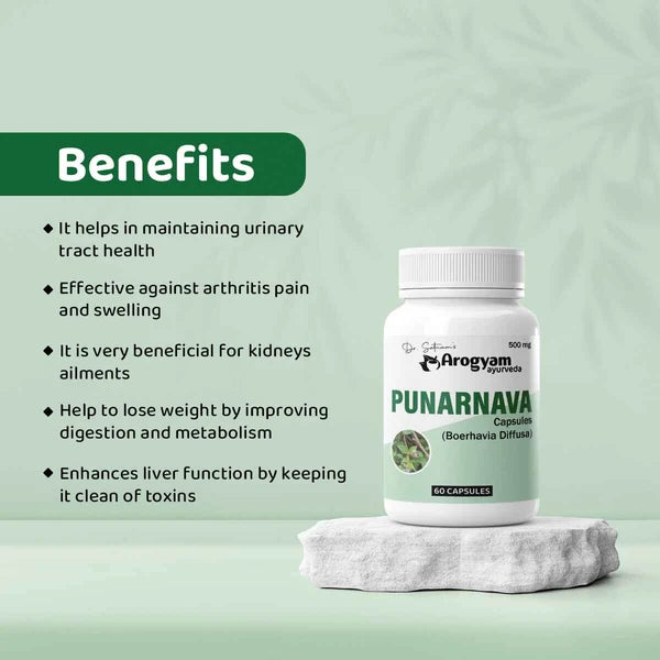 Dr. Satnam’s Arogyam Ayurveda Punarnava Capsules (500mg, 60 Capsules) | Pure Boerhavia Diffusa Extract for Kidney Health, Fluid Retention & Systematic Detoxification