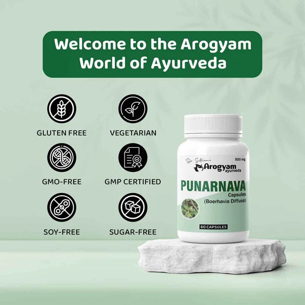 Dr. Satnam’s Arogyam Ayurveda Punarnava Capsules (500mg, 60 Capsules) | Pure Boerhavia Diffusa Extract for Kidney Health, Fluid Retention & Systematic Detoxification