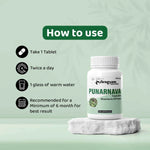 Dr. Satnam’s Arogyam Ayurveda Punarnava Capsules (500mg, 60 Capsules) | Pure Boerhavia Diffusa Extract for Kidney Health, Fluid Retention & Systematic Detoxification