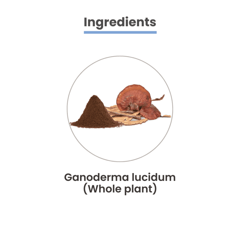 MediZen Reishi Mushroom Tablet