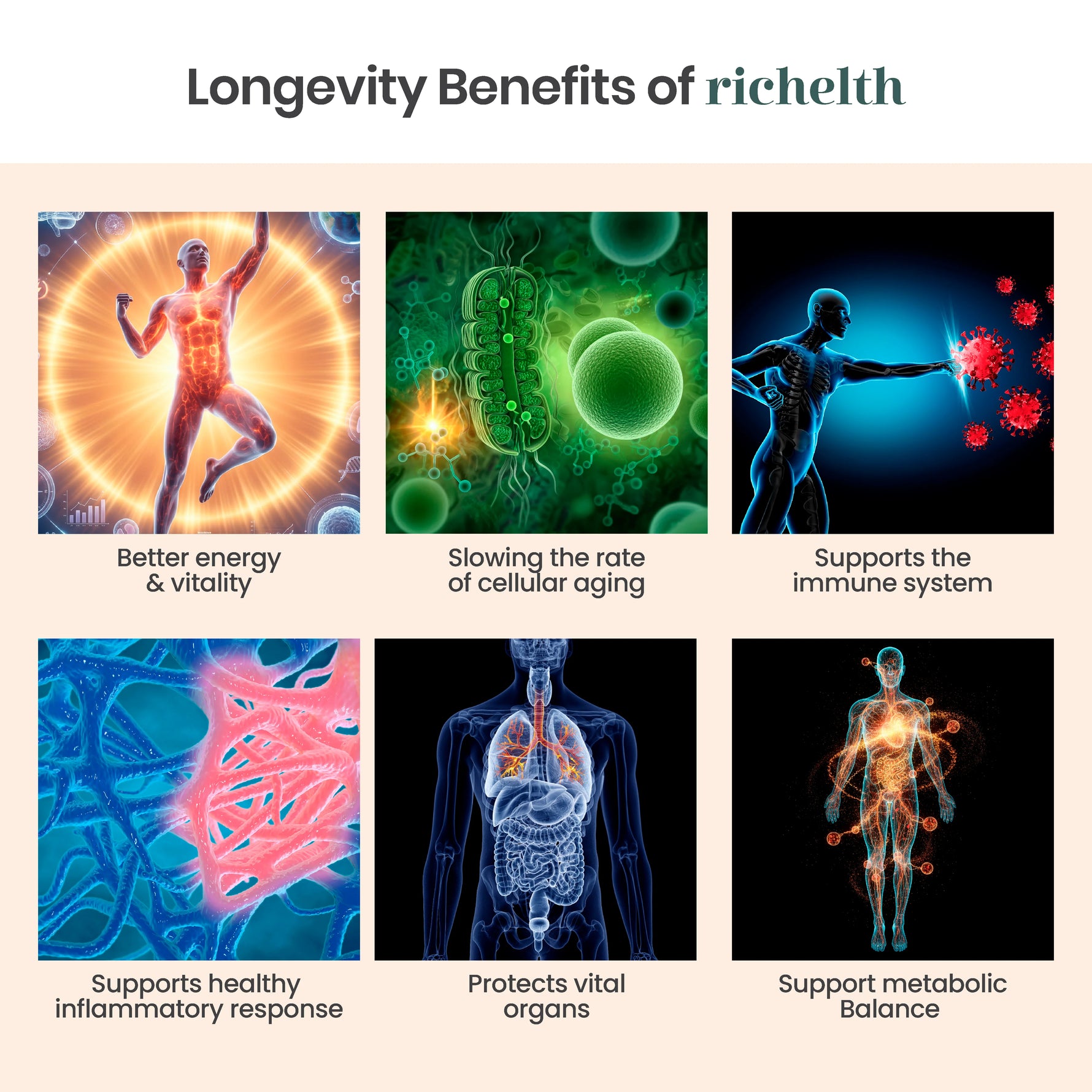 Vedistry Richelth Tablets 60s - Anti-Aging Cellular Health & Mitochondrial Energy Booster