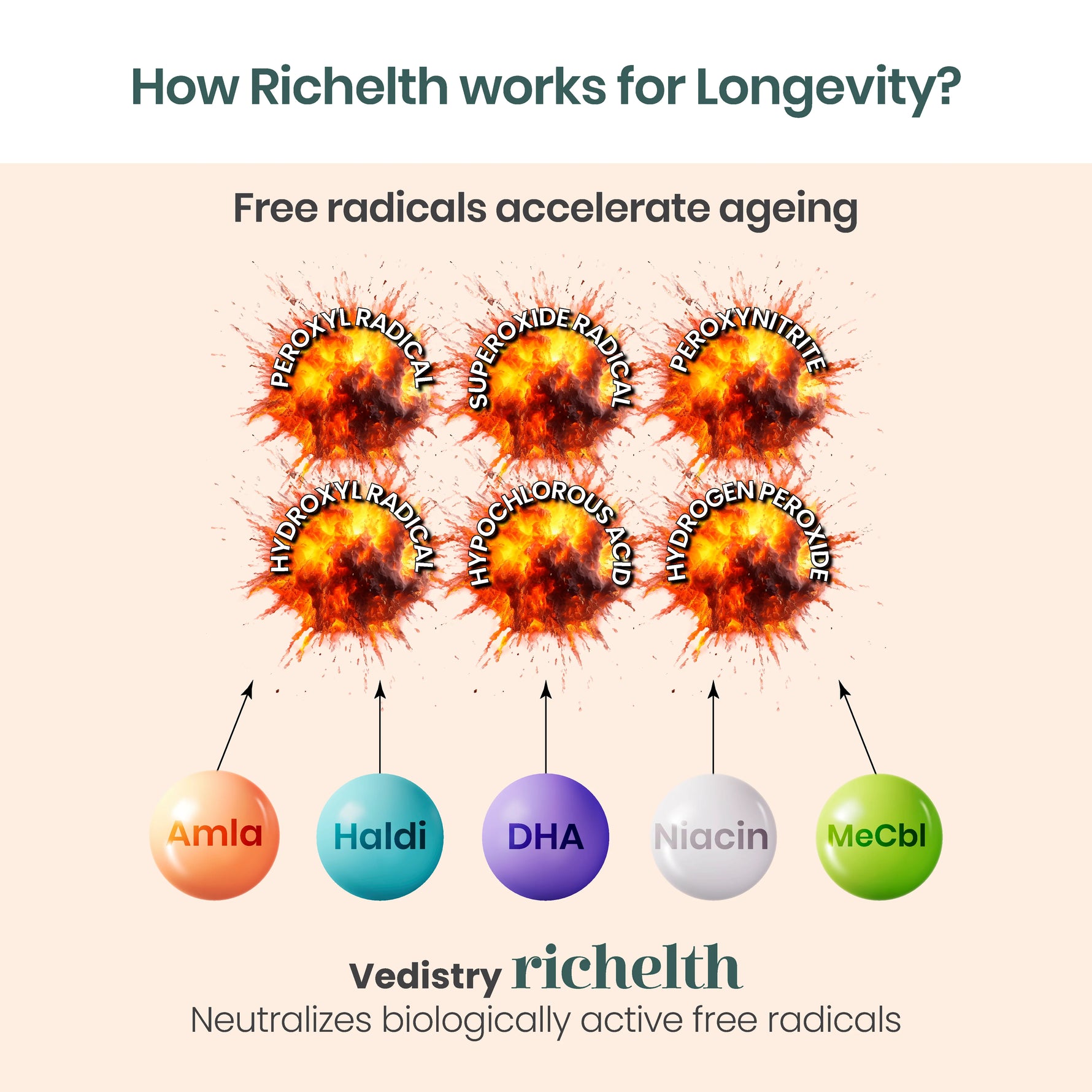 Vedistry Richelth Tablets 60s - Anti-Aging Cellular Health & Mitochondrial Energy Booster