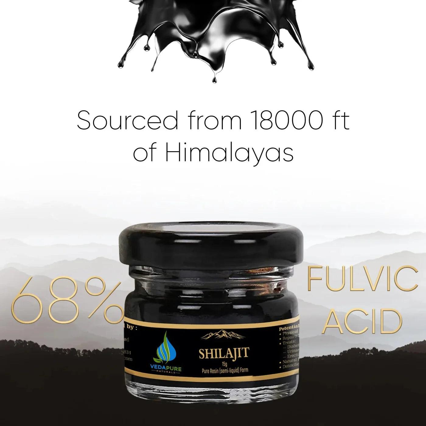 Vedapure Shudha Shilajit Resin - Pure Himalayan Lab-Tested Vitality Extract (15g)