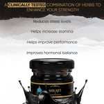 Vedapure Shudha Shilajit Resin - Pure Himalayan Lab-Tested Vitality Extract (15g)