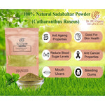 DR. JPG Organic Sadabahar Leaf Powder (200g) | Pure Catharanthus Roseus / Vinca Rosea / Nithyakalyani Powder
