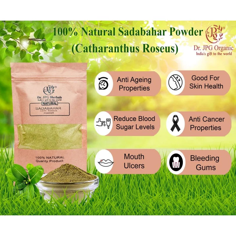 DR. JPG Organic Sadabahar Leaf Powder (200g) | Pure Catharanthus Roseus / Vinca Rosea / Nithyakalyani Powder