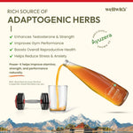 WellWith Power X Sea Buckthorn Juice For Men With Ashwagandha 300ml