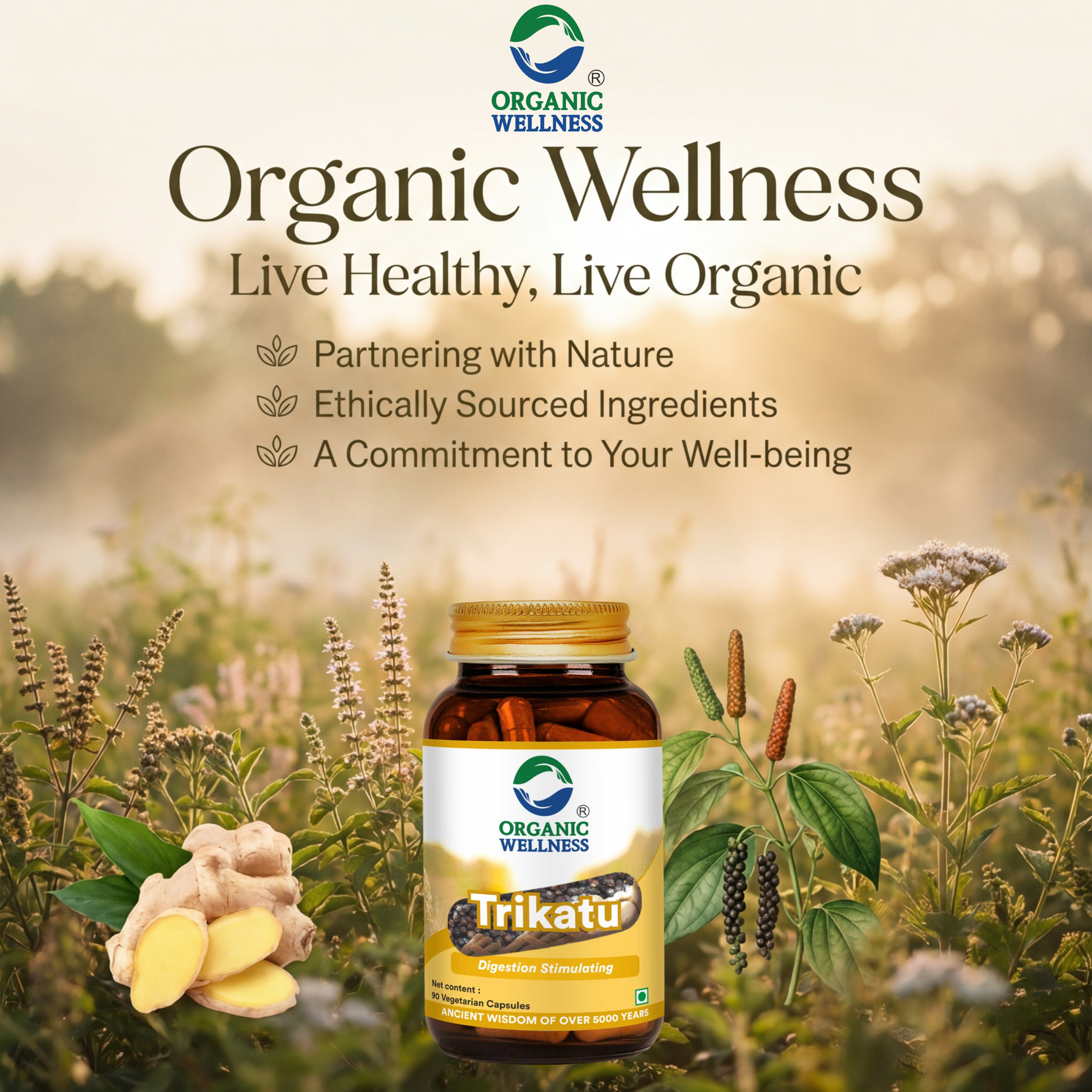 Organic Wellness Trikatu Capsules -  90 Capsules