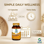 Organic Wellness Turmeric Curcumin Capsules -  90 Veg Capsules