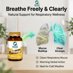 Organic Wellness Trikatu Capsules -  90 Capsules