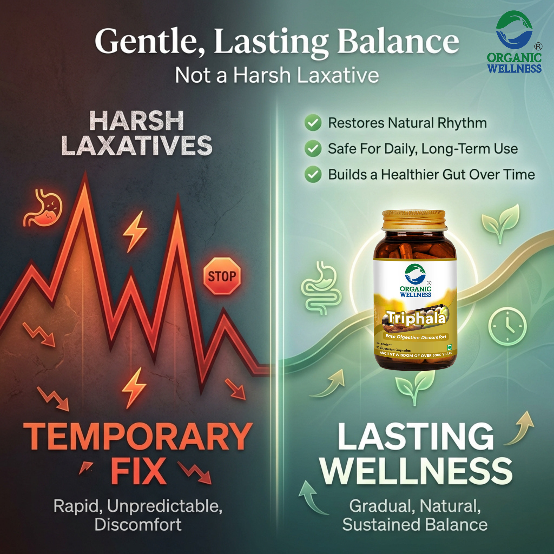 Organic Wellness Triphala Capsules -  90 Capsules