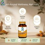 Organic Wellness Turmeric Curcumin Capsules -  90 Veg Capsules