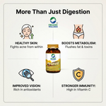 Organic Wellness Triphala Capsules -  90 Capsules