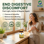Organic Wellness Triphala Capsules -  90 Capsules