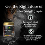 Divyashri Wellness Shilajit Tablets: Boost Energy, Stamina & Vitality Naturally