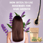 Shuddh Natural Rosemary Leaves I Hair Growth I Tea I Skin I 85 Gms