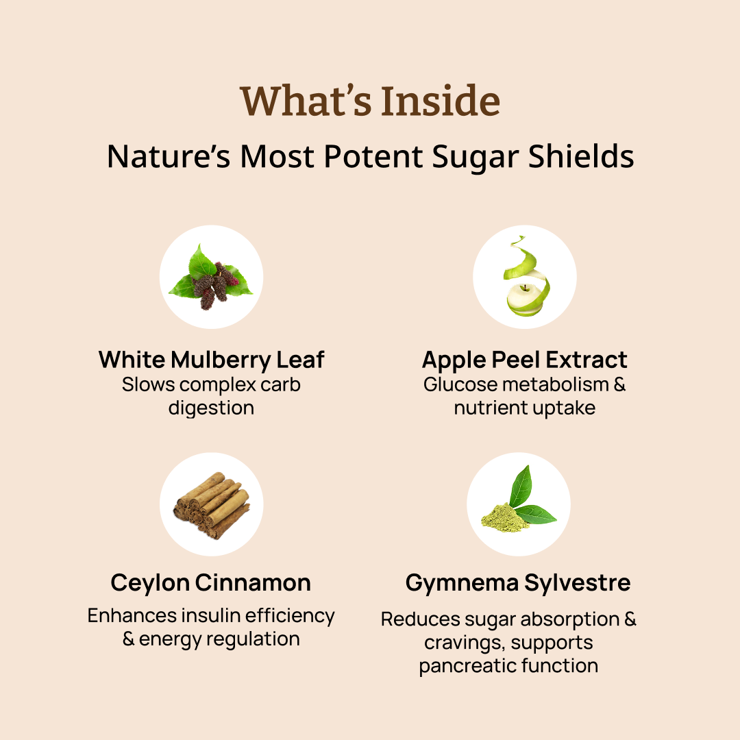 Moderate Sugar Slayer Tablets - AIIMS Tested Blood Sugar Control - 30 Tabs