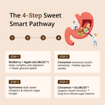 Moderate Sugar Slayer Tablets - AIIMS Tested Blood Sugar Control - 30 Tabs
