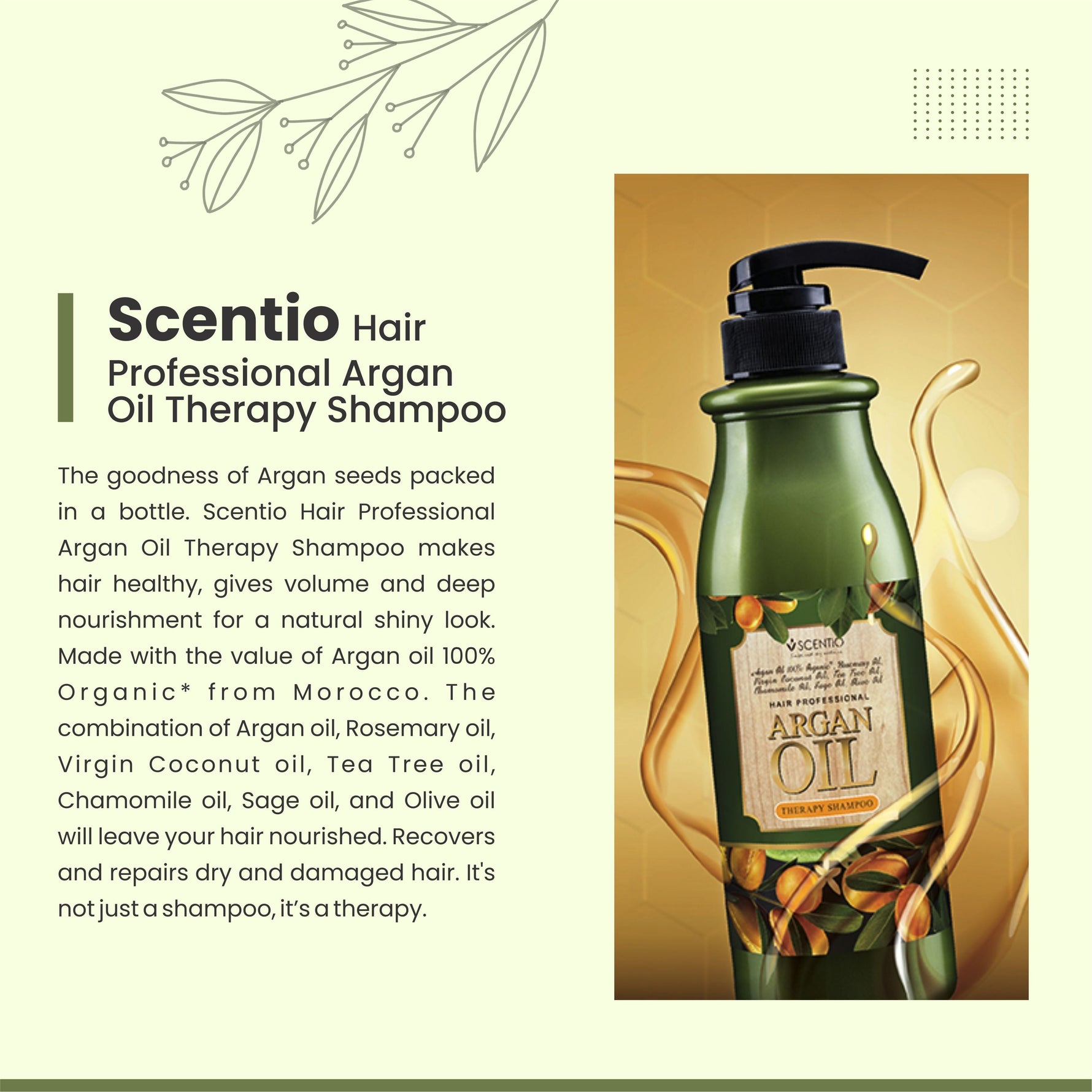 Scentio Hair Professional Argan Oil Therapy Shampoo 500ml – Nourish & Repair Hair