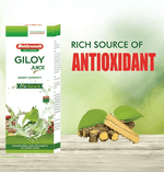 Baidyanath (Jhansi) Giloy Juice